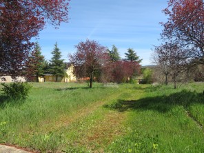 Jardín